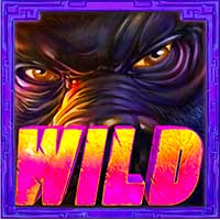 Wild Ape Re-Spins