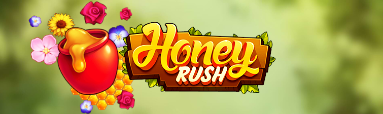 Play N Go Honey Rush
