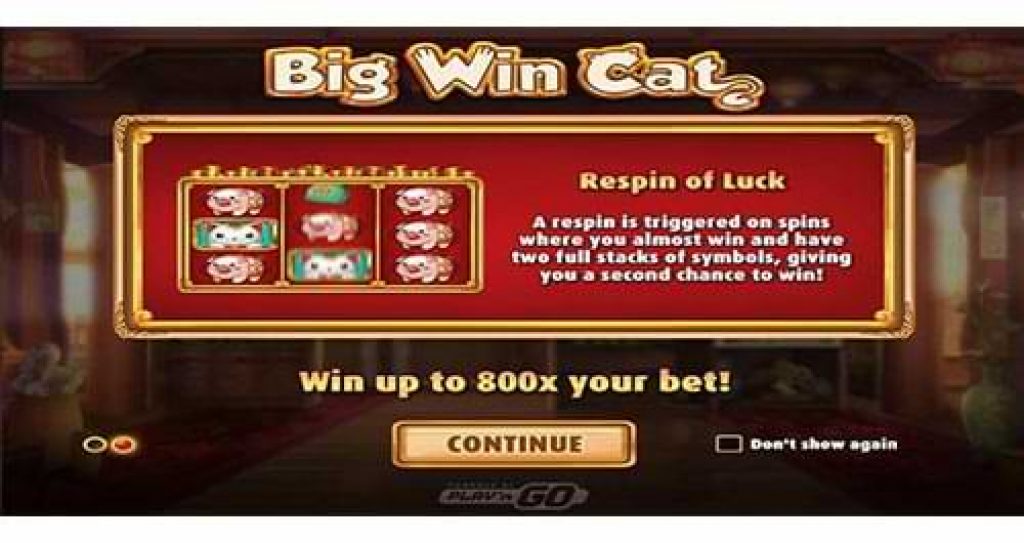 Big Win Cat Bonus