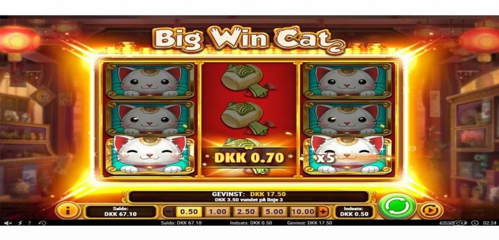 Big Win Cat Screnshot