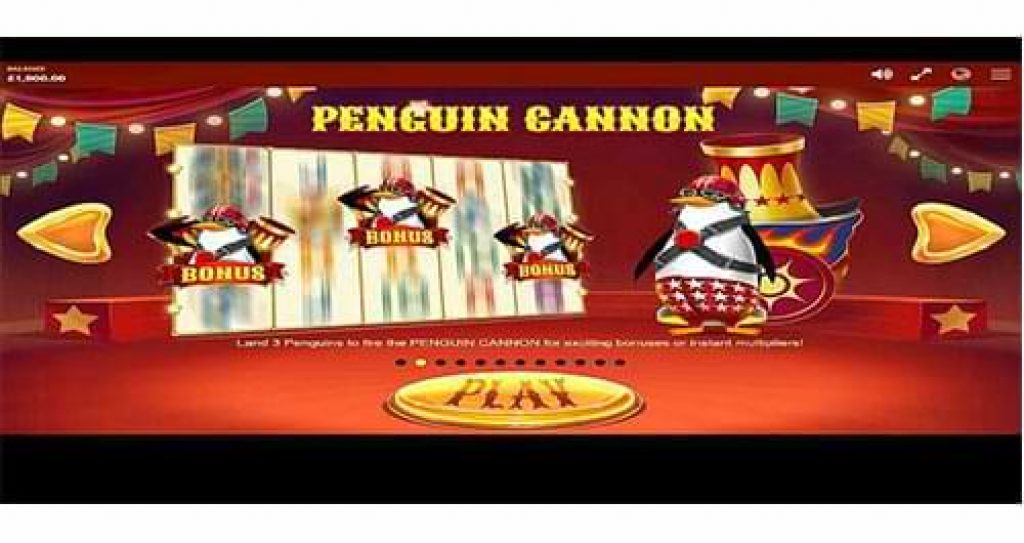 Wild Circus Penguin cannon
