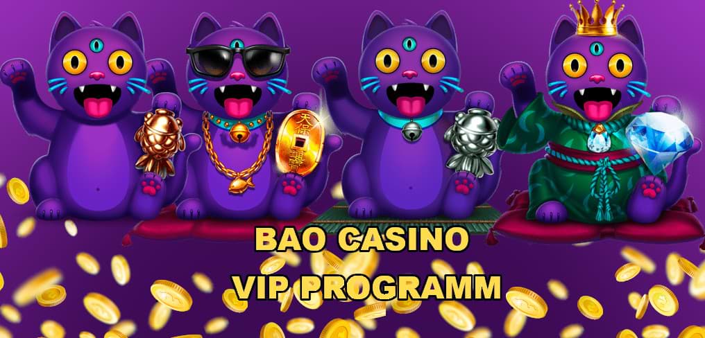 Bao Casino VIP Programm