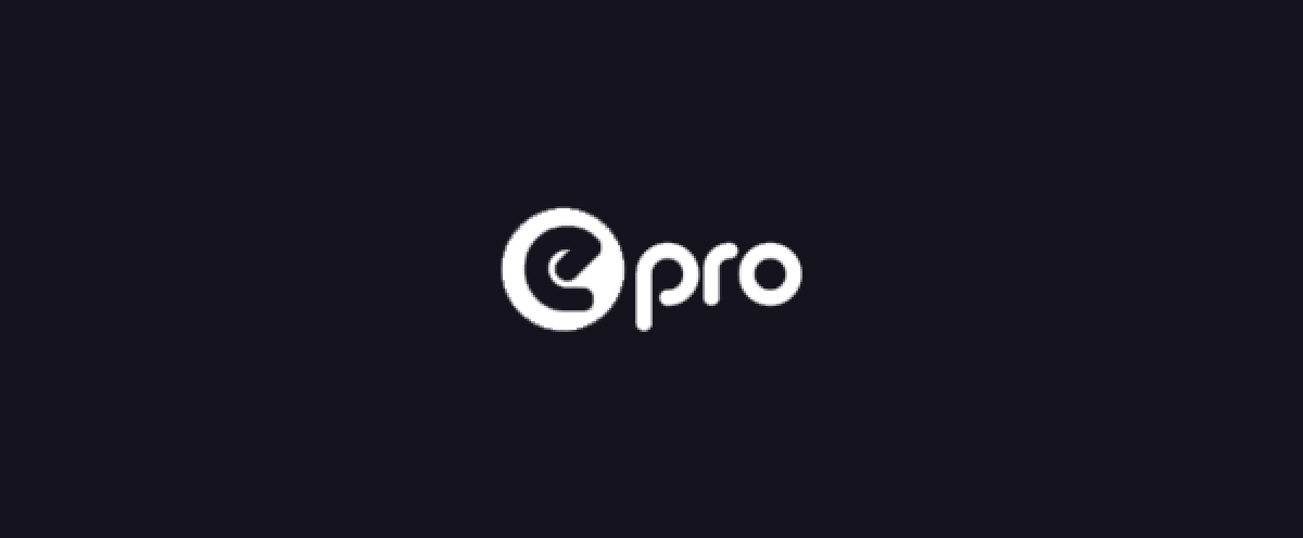 Logo zahlungsmethoden E-Pro