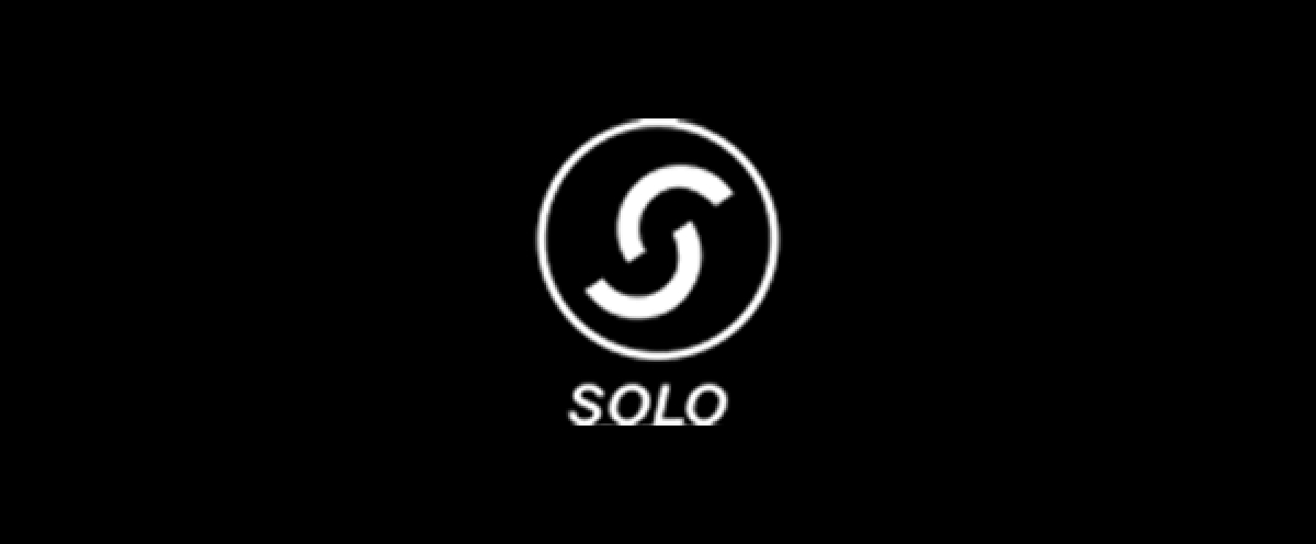 Logo zahlungsmethoden Solo