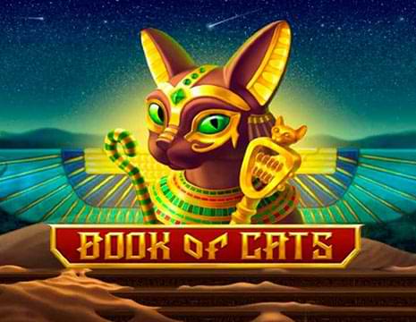 Book of Cats Testbericht